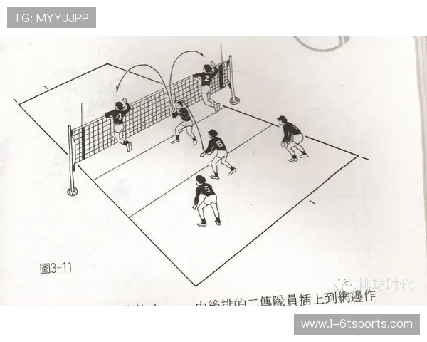 广州排球队战术解析与未来发展方向探讨 广州排球队战术解析与未来发展方向探讨